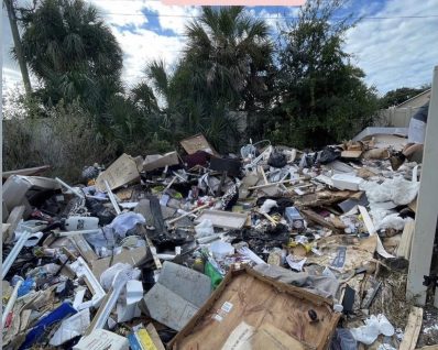 Elephants Dumpster Rental Junk removal f1