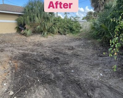 Elephants Dumpster Rental Junk removal f4