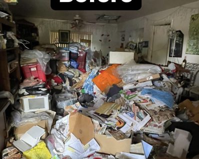 Elephants Dumpster Rental Junk removal f7