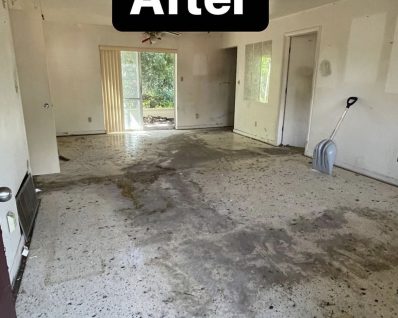 Elephants Dumpster Rental Junk removal f8